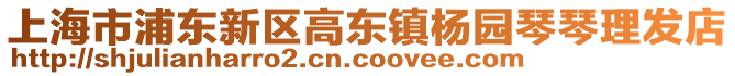 上海市浦東新區高東鎮楊園琴琴理發店