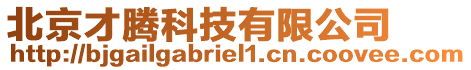 北京才騰科技有限公司