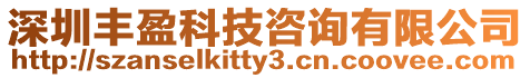 深圳豐盈科技咨詢有限公司