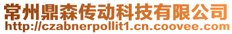 常州鼎森傳動科技有限公司