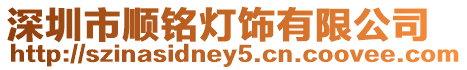 深圳市順銘燈飾有限公司