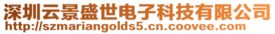 深圳云景盛世電子科技有限公司
