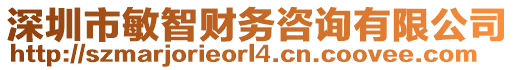 深圳市敏智財務咨詢有限公司