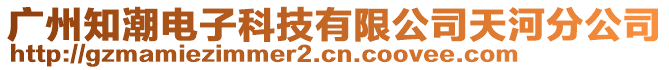 廣州知潮電子科技有限公司天河分公司