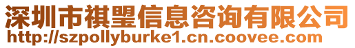 深圳市祺琞信息咨詢有限公司