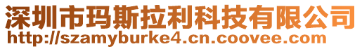 深圳市瑪斯拉利科技有限公司