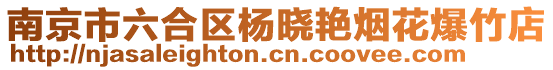 南京市六合區(qū)楊曉艷煙花爆竹店