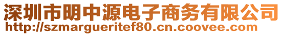 深圳市明中源電子商務(wù)有限公司