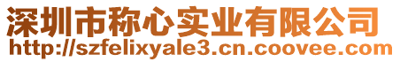 深圳市稱(chēng)心實(shí)業(yè)有限公司