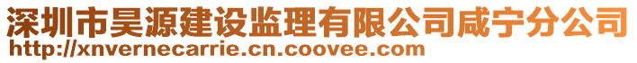 深圳市昊源建設監理有限公司咸寧分公司