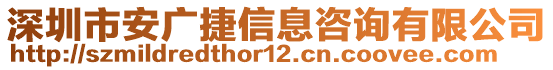 深圳市安廣捷信息咨詢有限公司