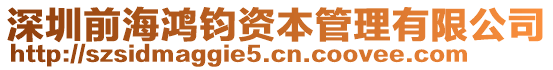 深圳前海鴻鈞資本管理有限公司