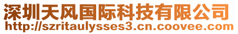 深圳天風(fēng)國(guó)際科技有限公司