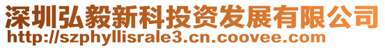 深圳弘毅新科投資發展有限公司