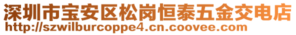 深圳市寶安區(qū)松崗恒泰五金交電店
