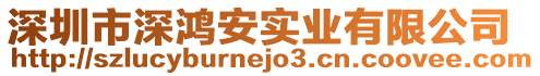 深圳市深鴻安實業有限公司
