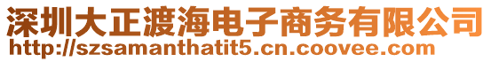 深圳大正渡海電子商務有限公司