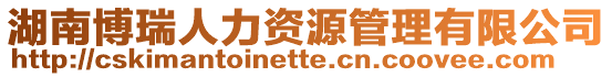 湖南博瑞人力資源管理有限公司