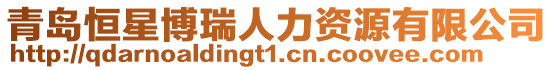 青島恒星博瑞人力資源有限公司