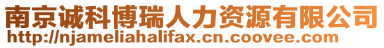 南京誠科博瑞人力資源有限公司