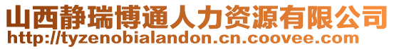山西靜瑞博通人力資源有限公司