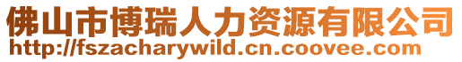 佛山市博瑞人力資源有限公司