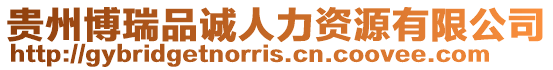 貴州博瑞品誠人力資源有限公司