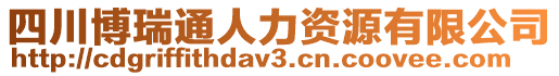 四川博瑞通人力資源有限公司