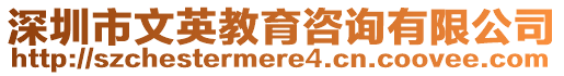 深圳市文英教育咨詢有限公司