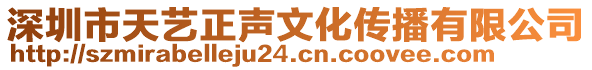 深圳市天藝正聲文化傳播有限公司