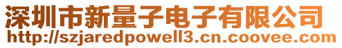 深圳市新量子電子有限公司