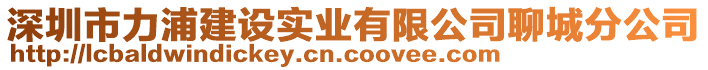 深圳市力浦建設(shè)實(shí)業(yè)有限公司聊城分公司