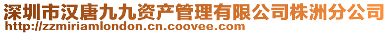 深圳市漢唐九九資產管理有限公司株洲分公司