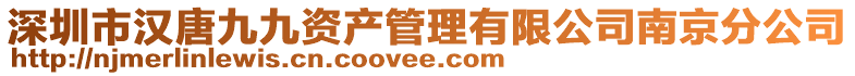 深圳市漢唐九九資產管理有限公司南京分公司