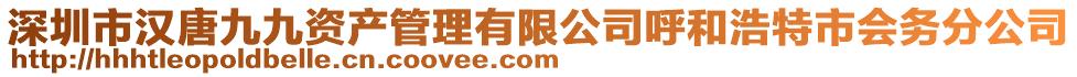 深圳市漢唐九九資產(chǎn)管理有限公司呼和浩特市會(huì)務(wù)分公司