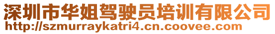 深圳市華姐駕駛員培訓有限公司