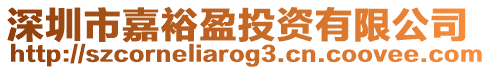 深圳市嘉裕盈投資有限公司