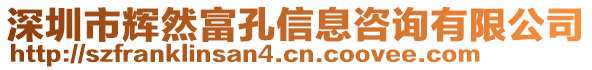 深圳市輝然富孔信息咨詢有限公司