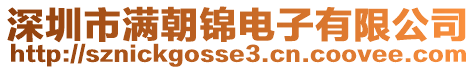 深圳市滿朝錦電子有限公司