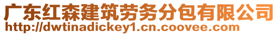 廣東紅森建筑勞務分包有限公司