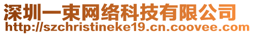 深圳一束網絡科技有限公司