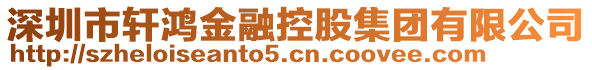 深圳市軒鴻金融控股集團(tuán)有限公司