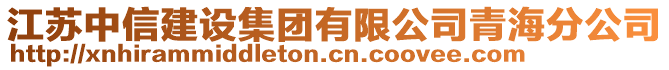 江蘇中信建設(shè)集團(tuán)有限公司青海分公司