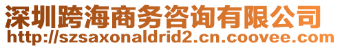 深圳跨海商務咨詢有限公司