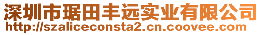 深圳市琚田豐遠(yuǎn)實(shí)業(yè)有限公司