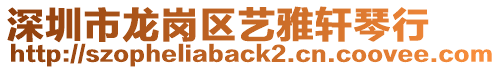 深圳市龍崗區(qū)藝雅軒琴行