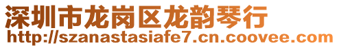 深圳市龍崗區(qū)龍韻琴行