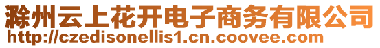 滁州云上花開電子商務(wù)有限公司