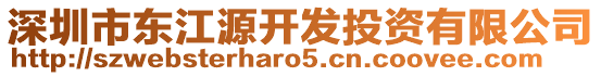 深圳市東江源開發(fā)投資有限公司