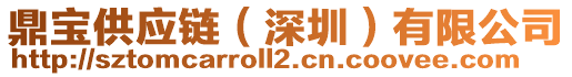 鼎寶供應(yīng)鏈（深圳）有限公司